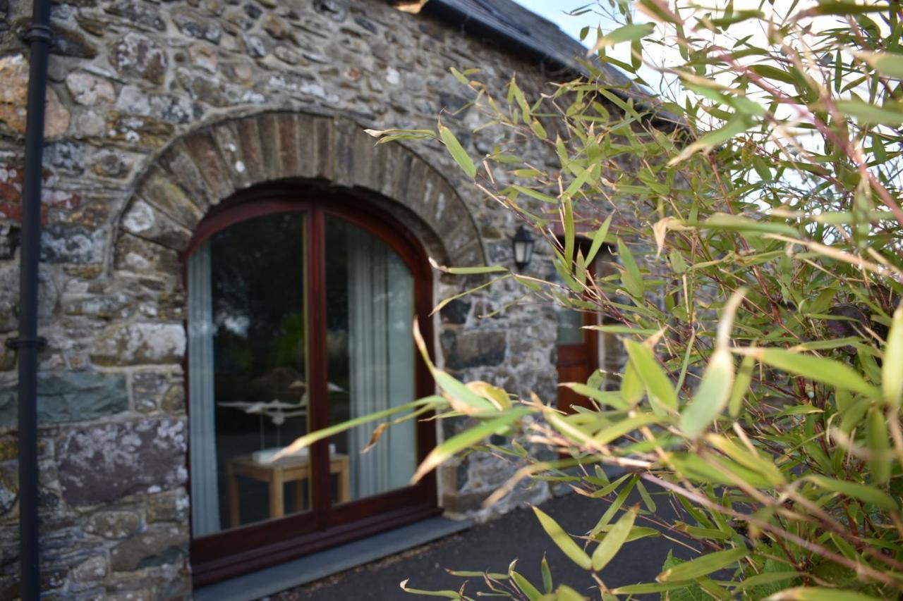 Crug Glas Country House เซนต์เดวิดส์ ภายนอก รูปภาพ