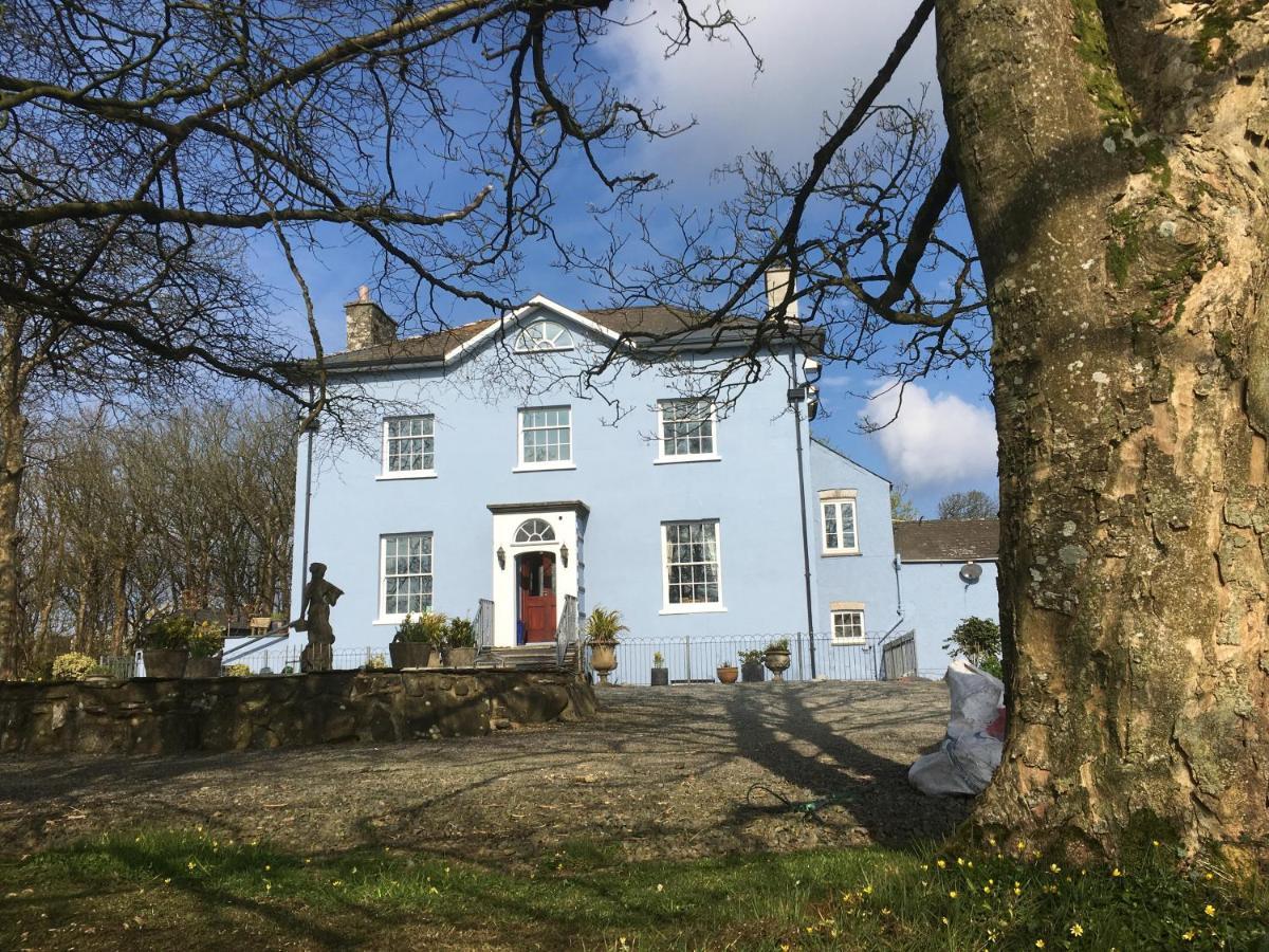 Crug Glas Country House เซนต์เดวิดส์ ภายนอก รูปภาพ