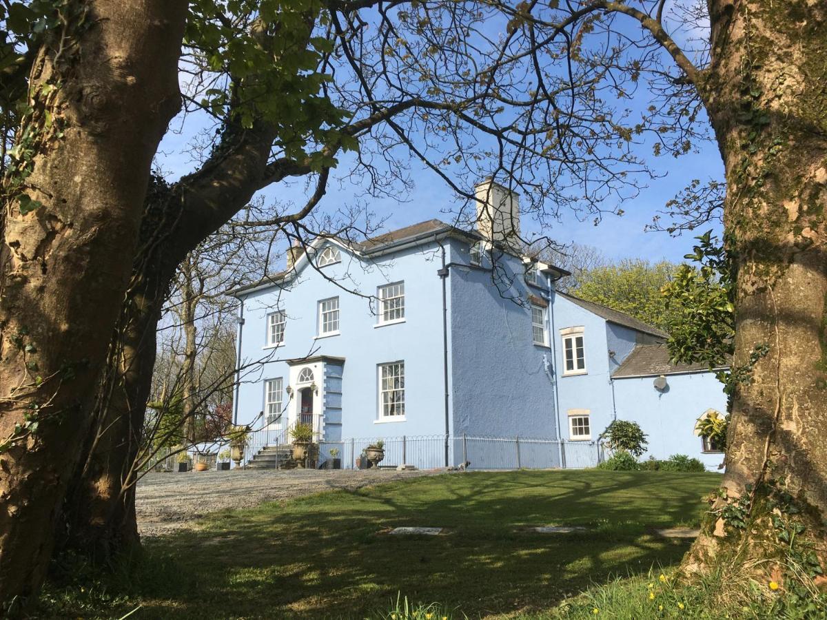 Crug Glas Country House เซนต์เดวิดส์ ภายนอก รูปภาพ