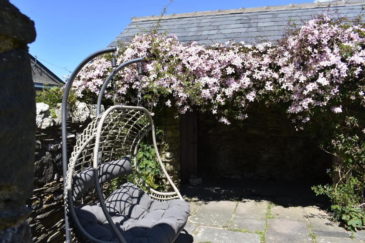 Crug Glas Country House เซนต์เดวิดส์ ภายนอก รูปภาพ